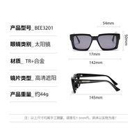 Plastic + metal square sunglasses for men Elit 3201-EL