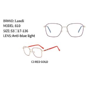 Очки защитные металлические с антибликовым покрытием Landi LD810