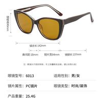 Polarized plastic TR90 sunglasses with UV400 protection 6013-GT