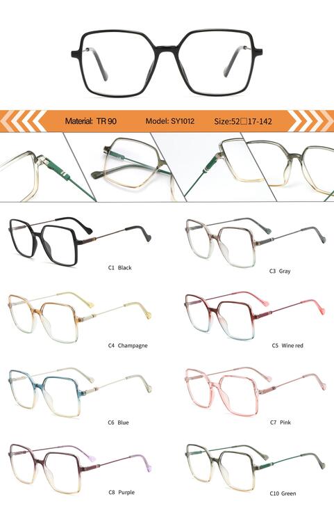 Оправа пластиковая из TR90 женская с флексом SY1012-DA