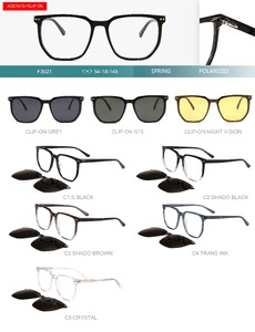 Plastic acetate frame with flex hinges + polarized clip-on Big City F3021S