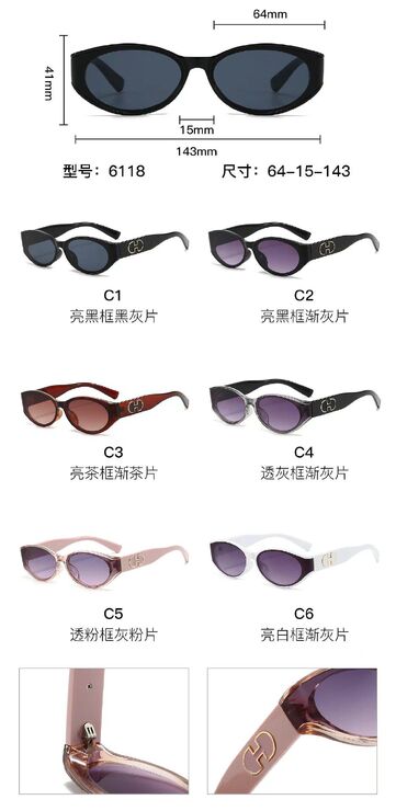 PC plastic sunglasses with metal hinge 6118W
