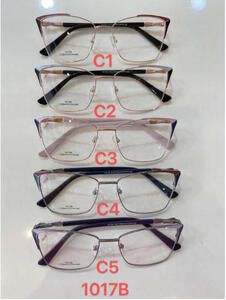 Metal frames for glasses Polar Fashion 1017B