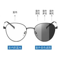 Photochromic glasses with blue light and UV protection 9650-2-GT