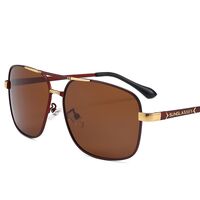 Очки металлические фотохромные с защитой от синего света 2873-GT