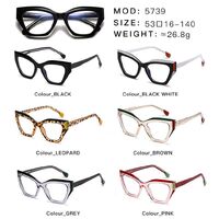 Plastic frame with anti-blue light protection lenses, with spring hinges Elit 5739-EL