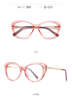 Plastic frames for glasses TR90+CA material (flex hinges) FOCUS FCS2088