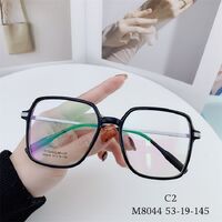 Оправа гибридная, титановый сплав + TR90 SANTA M8044