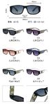 PC plastic sunglasses with metal hinge 6115W