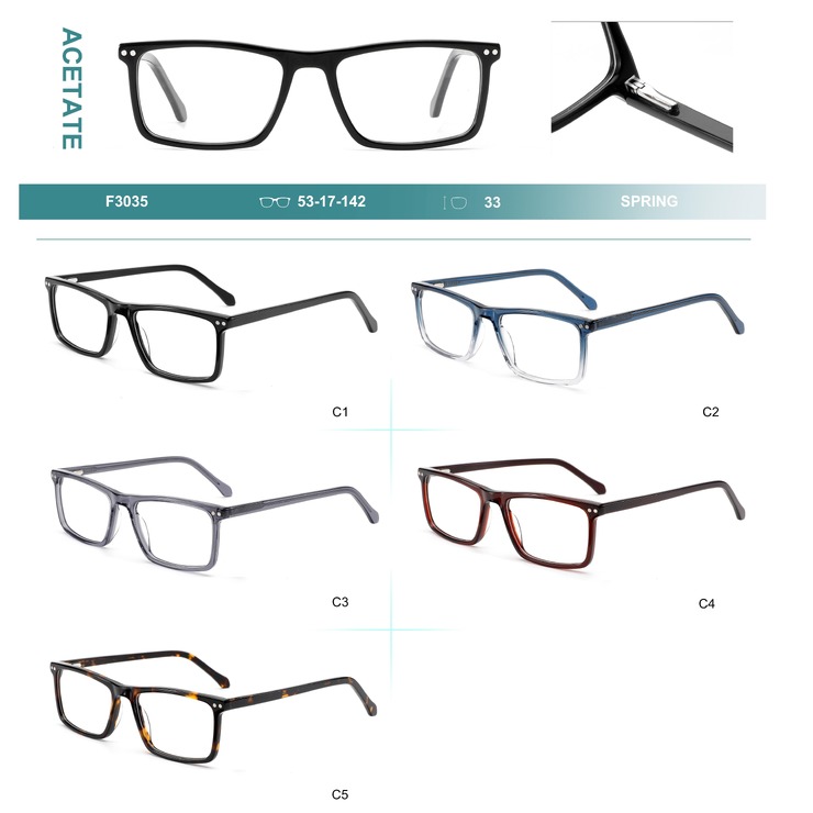Acetate plastic frames for glasses with spring hinges Big City F3035