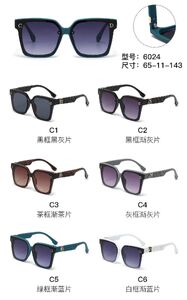 PC plastic sunglasses with metal hinge 6024W