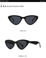 Sunglasses Elit cat eye 1735-1