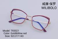 Metal +TR90 ultrathin frames with flex hinges Wilibolo TR3021