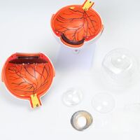 Anatomical eye model, dismountable, with thin blood vessels, scale 6:1 6倍眼球