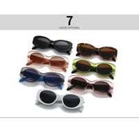 Plastic sunglasses Elit LH157-EL