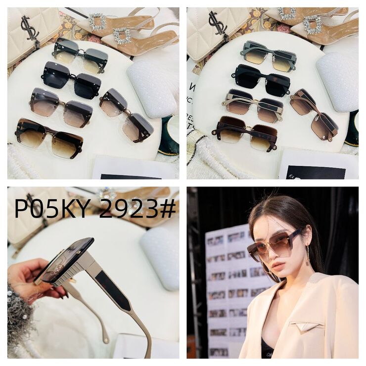 Polarized metal + TR90 sunglasses P05KY 2923