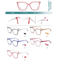 Оправа пластиковая из ламинированного многослойного ацетата с флексом Big City CL9017