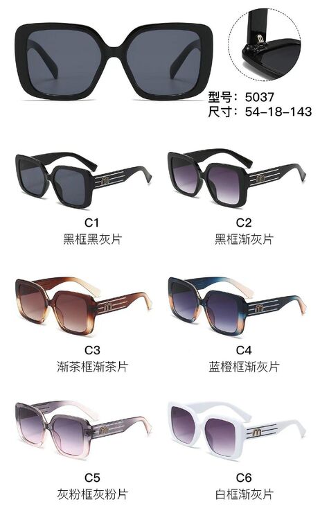 PC plastic sunglasses with metal hinge 5037W