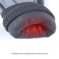 Windproof, frost-resistant, waterproof gloves for skiing, mountaineering, motorsports D-ST-23706