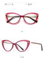 Plastic frames for glasses TR90+CA material (flex hinges) FOCUS FCS2111