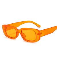 Polarized plastic sunglasses with UV400 protection 9071-GT