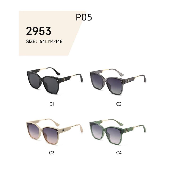 Polarized metal + TR90 sunglasses P05KY 2953