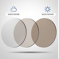 Photochromic glasses with blue light and UV protection 9702-GT