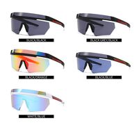 Plastic sunglasses Elit SPS01-EL