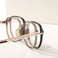 Hybrid metal + TR90 frame SANTA M8173