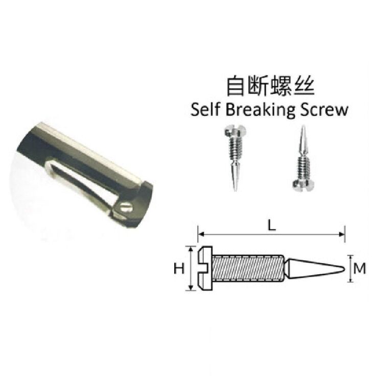 Self-aligning screw with break-off end for eyeglasses temples