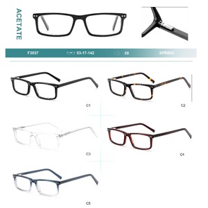 Acetate plastic frames for glasses with spring hinges Big City F3037