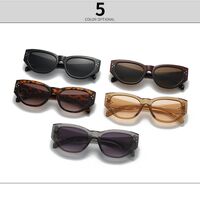 Plastic cat-eye sunglasses for women Elit 9165-EL