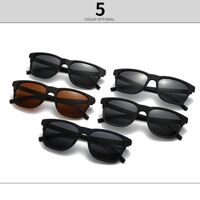 Plastic polarized men's sunglasses Elit 2384-EL