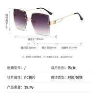 Metal rimless sunglasses with UV400 protection 2953-GT