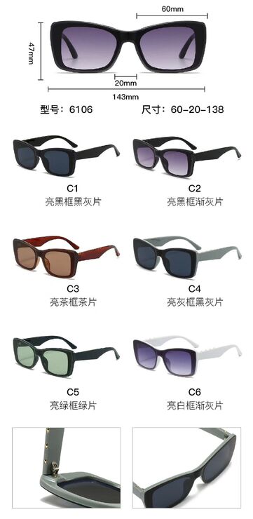 PC plastic sunglasses with metal hinge 6106W