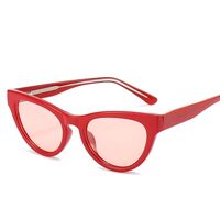 Polarized plastic TR90 sunglasses with UV400 protection 6012-GT