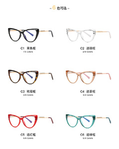 Plastic frames for glasses TR90+CA material (flex hinges) FOCUS FCS2062