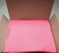 WIPES microfiber 金布 579-1