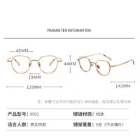 Metal pure titanium frame SANTA 纯钛S8501