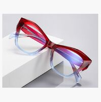 Plastic TR90 frames for glasses with Blue Ray Cut protection and flex hinges FOCUS FCS2197