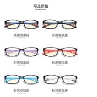 TR90 glasses, with Blue ray cut protection TR13017-2平光