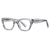Plastic TR90 frame for glasses with UV protection More LS031