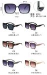 PC plastic sunglasses with metal hinge 6134W