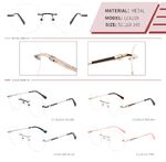 Оправа металлическая безободковая на винтах женская с флексом LE6218-DA