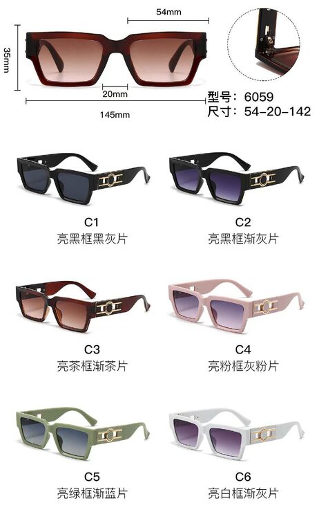 Солнцезащитные пластиковые очки из поликарбоната с металлическим шарниром 6059W