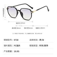 Plastic TR90 sunglasses with UV400 protection 9730-2-GT