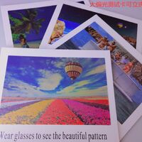 Карта для определения поляризации в очках 002, 15*10 см