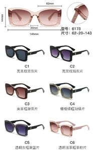 PC plastic sunglasses with metal hinge 6173W