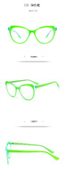 Plastic frames for glasses TR90+CA material (flex hinges) FOCUS FCS2038