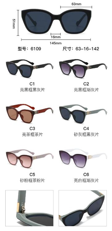 PC plastic sunglasses with metal hinge 6109W